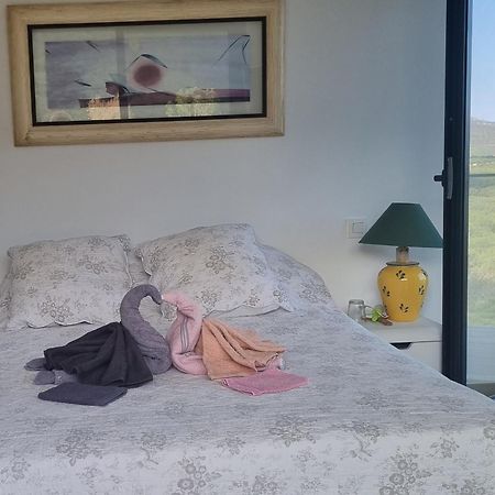 Chambre De Luxe, Spa, Piscine, Entre Mer Et Montagne Villelongue-dels-Monts Екстериор снимка
